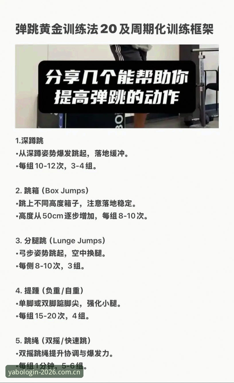 yabo平台功能必备 yabo体育平台功能必备实用指南:新手快速上手的关键技巧